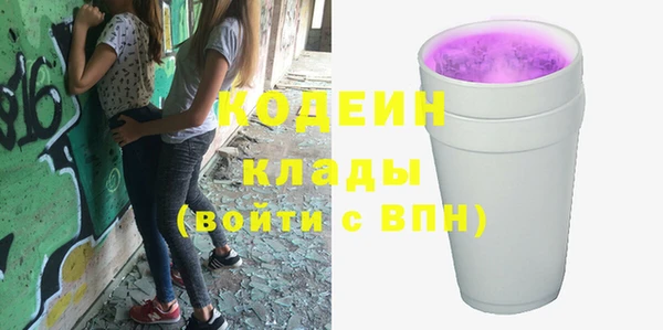 индика Пестово