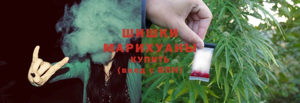 индика Пестово