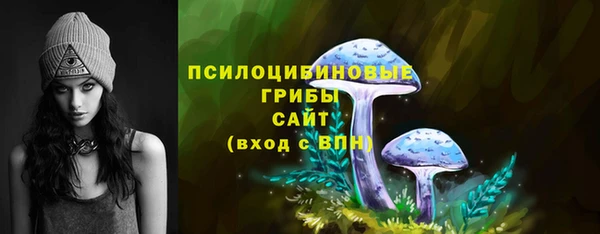 индика Пестово