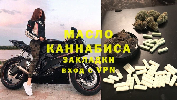индика Пестово