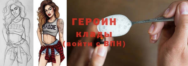 индика Пестово
