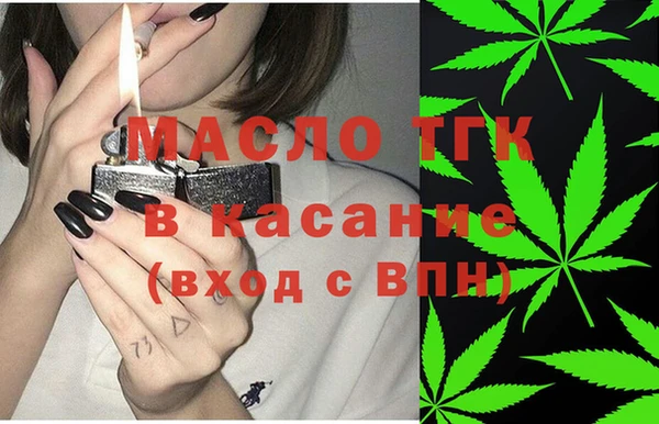 индика Пестово