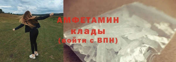 винт Абаза