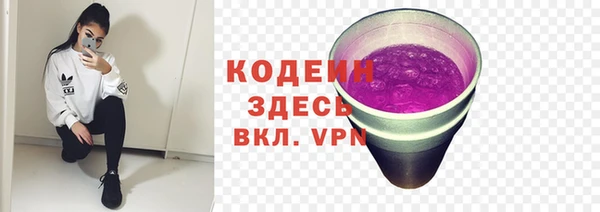 индика Пестово