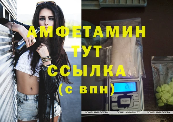 индика Пестово