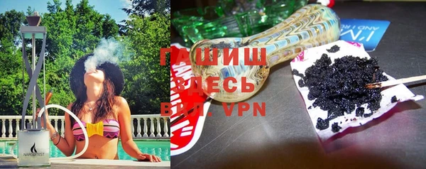 индика Пестово