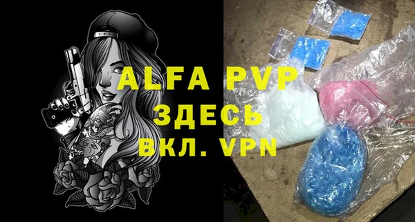 индика Пестово