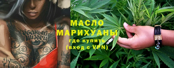 индика Пестово