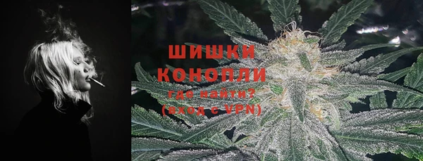 индика Пестово