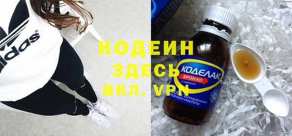 индика Пестово