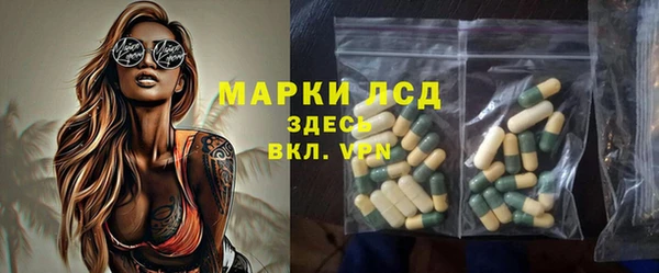 индика Пестово