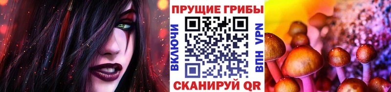 Псилоцибиновые грибы GOLDEN TEACHER гидра вход Александровское